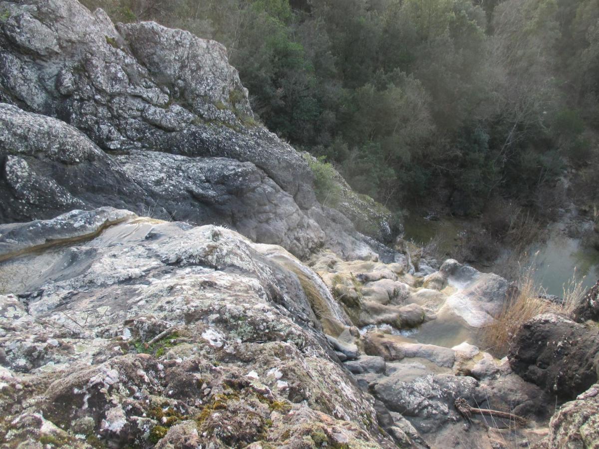 Podere Pian Dei Gelsi ヴォルテッラ エクステリア 写真