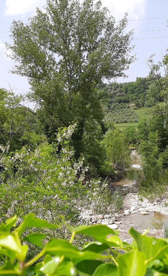 Podere Pian Dei Gelsi ヴォルテッラ エクステリア 写真