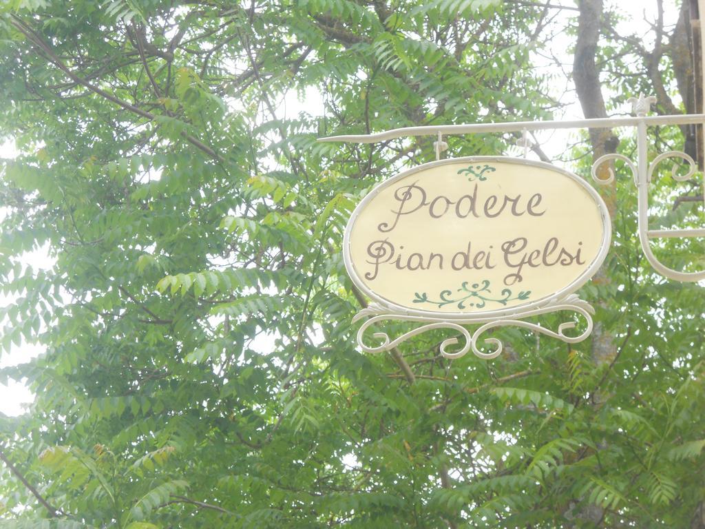 Podere Pian Dei Gelsi ヴォルテッラ エクステリア 写真