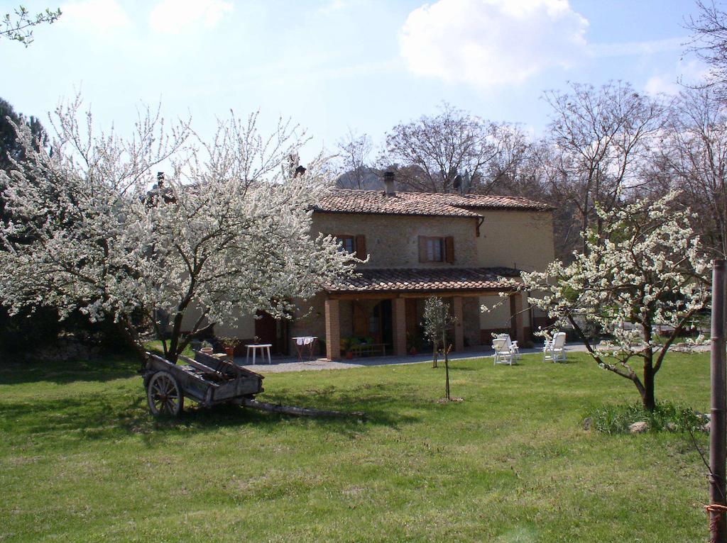 Podere Pian Dei Gelsi ヴォルテッラ エクステリア 写真